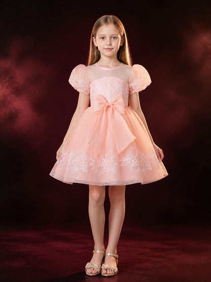 Girls' Pink Princess Dress with Lace Trim, Large Bow, and Puff Sleeves main product view