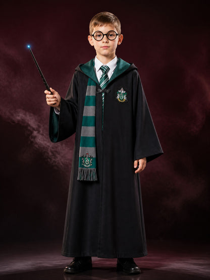 Hooded Wizard Robe Costume Set with Snake Crest, Tie, Scarf, Glasses and Wand main product view