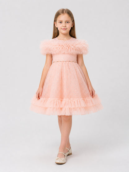 Pink Princess Dress with Sequins and Tulle Costume Dresses detail