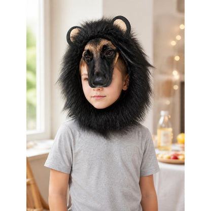 Black Lion Mane Carnival Hat for Pets lifestyle view
