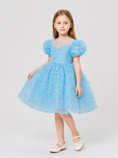 Embroidered Tutu Dress for Birthdays and Performances Costume Dresses detail