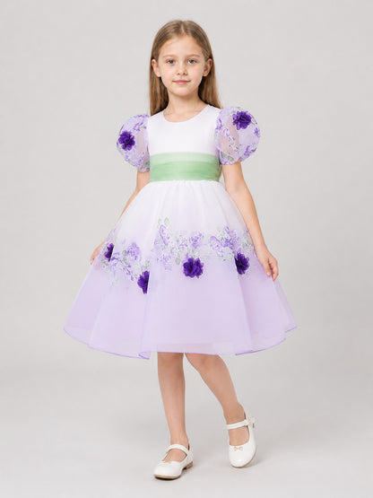 Princess Party Dress with Flowers and a Full Skirt Costume Dresses detail