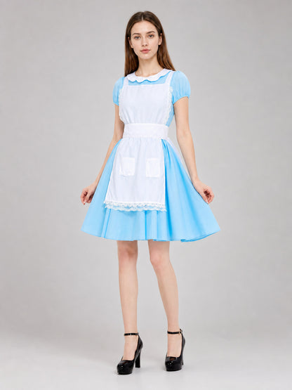 Dress with White Apron and Lace Trim Costume Dresses detail