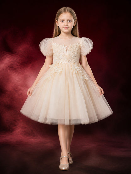 Toddler Girls' Ivory Princess Dress with Floral Vine Embellishments and Layered main product view