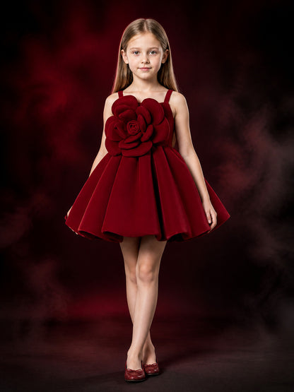 Girls' Burgundy Princess Dress, Sleeveless Layered Rose Flower Party Outfit main product view