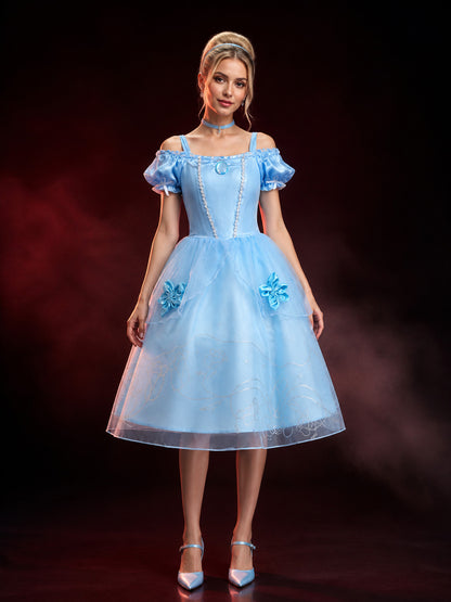 Girls Princess Cosplay Dress Costume, Light Blue Puffy Sleeve Tutu with Silver