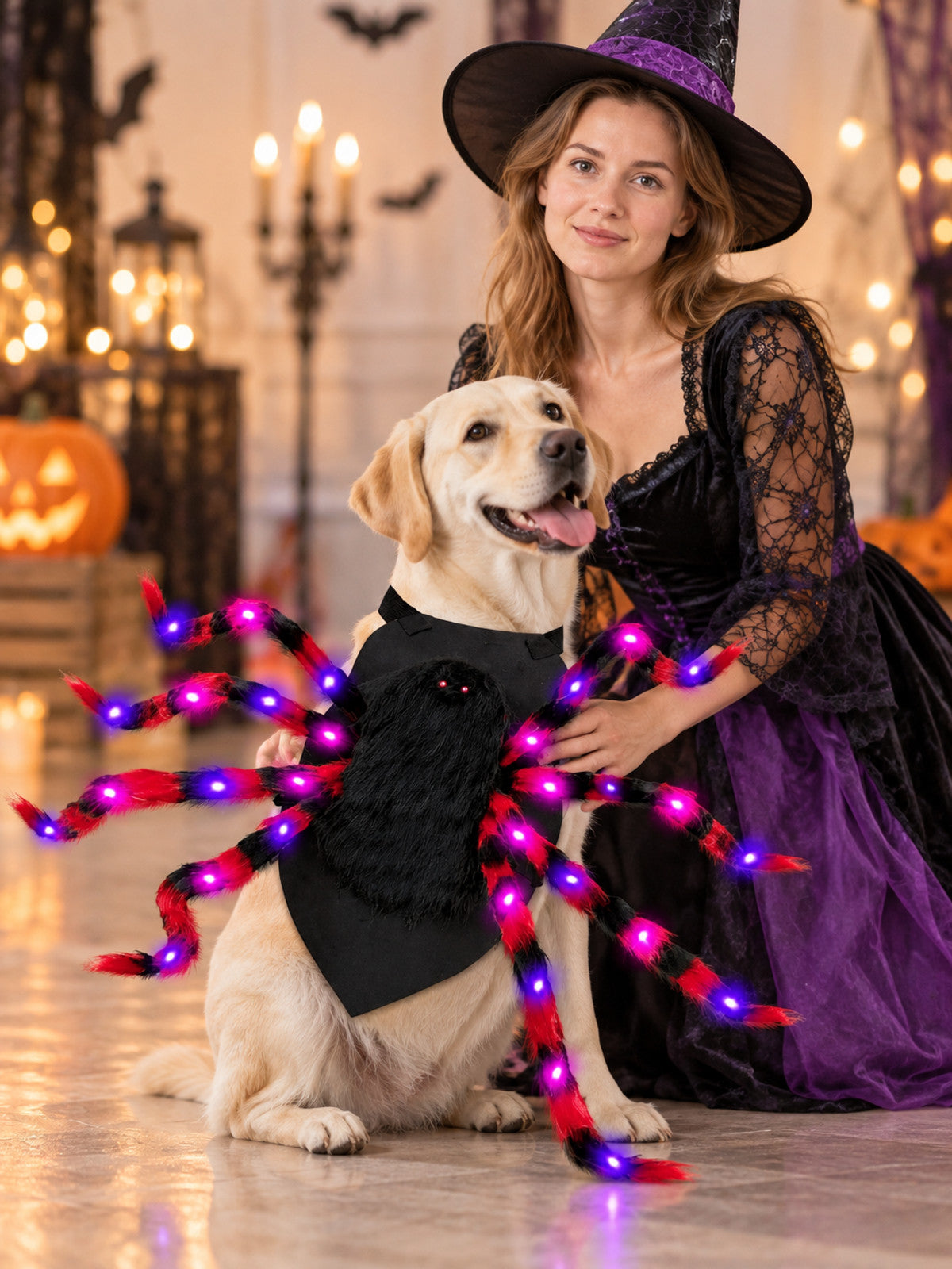 Spider Costume for Dogs with Purple Lights
