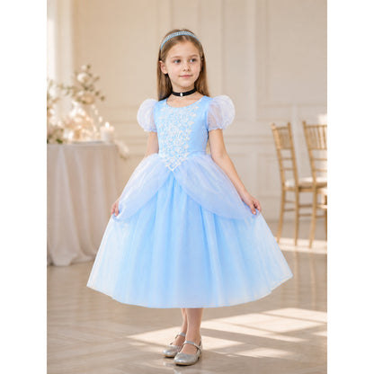 Blue Princess Halloween Costume