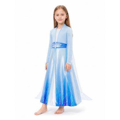 Children's Blue Long-Sleeve Dress Costume Costume Dresses detail