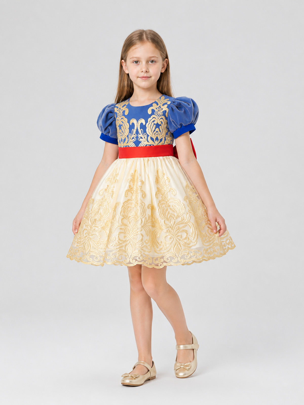 Full Princess Dress with Embroidery and Puff Sleeves Costume Dresses detail
