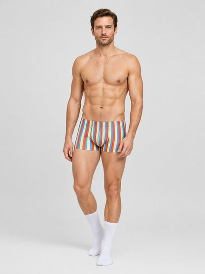 Carnival Shorts with Multicolored Stripes Costumes detail