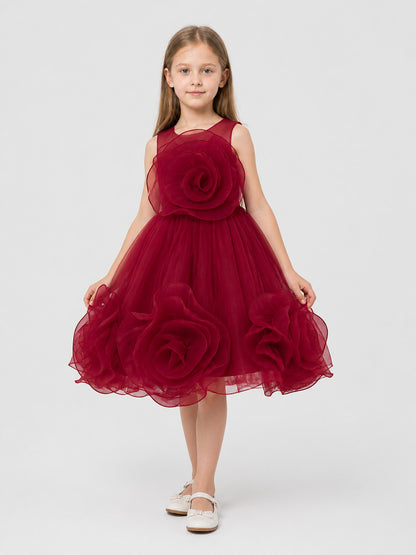 Burgundy Puffed Dress with a Layered Skirt and 3D Flowers Costume Dresses detail