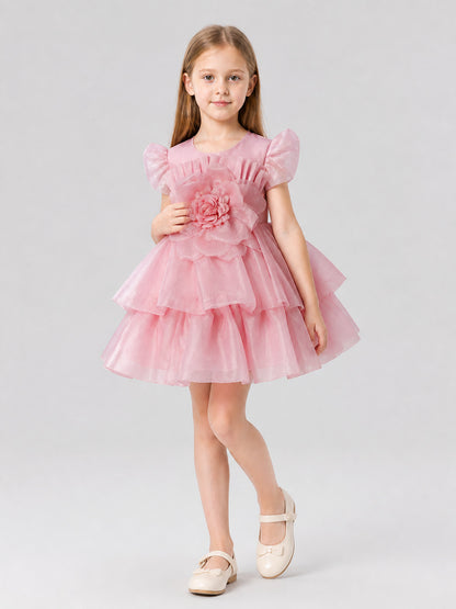Full Princess Dress with Floral Decoration for Weddings Costume Dresses detail