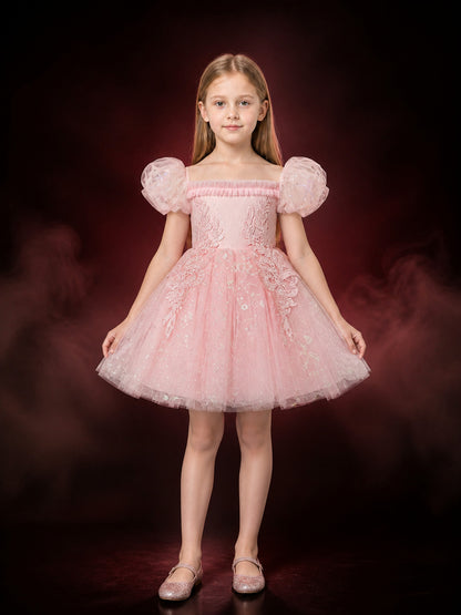 Toddler Girls' Sequined Embroidered Tulle Princess Dress main product view