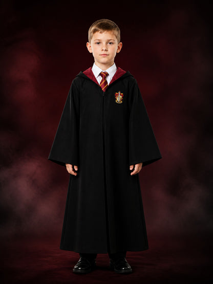 Hooded Wizard Robe Costume Set with Shirt and Striped Tie, Academy-Style Fantasy main product view