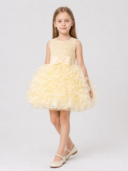 Girls' Dressy Lace Dress with a Full Skirt Costume Dresses detail