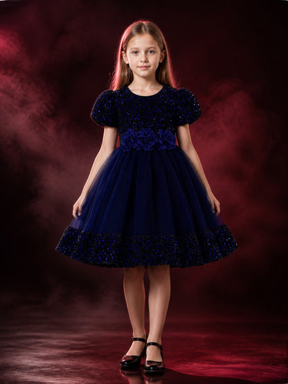 Baby Girls' Princess Dress, Sequined Tulle Puff Sleeve 3D Flower Party Gown main product view