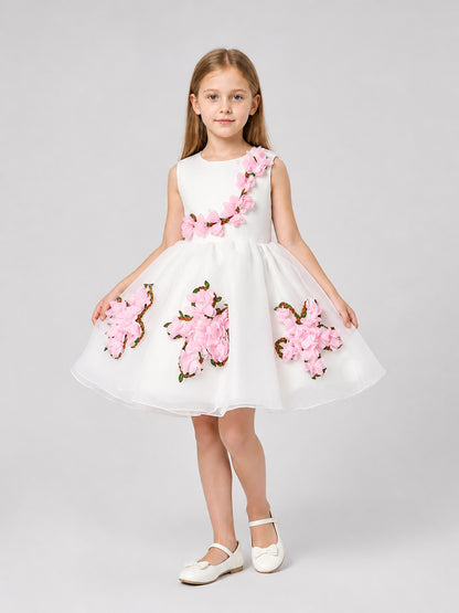 Children's organza dress with a full skirt and flowers Costume Dresses detail