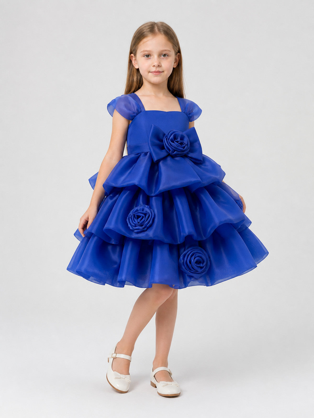 Full Dress with Roses and Bow, Blue Costume Dresses detail