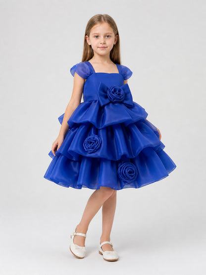 Full Dress with Roses and Bow, Blue Costume Dresses detail
