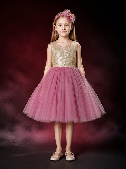 Girls' Sequin Princess Tulle Flower Girl Dress, Sleeveless A-Line Full Skirt main product view