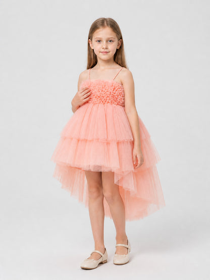 European Tutu Dress with Train for Performances Costume Dresses detail