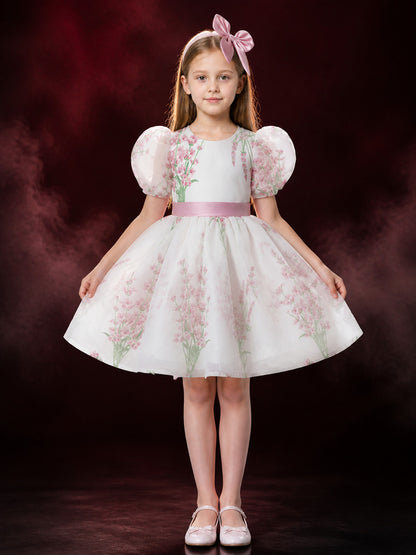 Baby Girls' Floral Princess Dress, Puff Sleeves and Full Skirt main product view