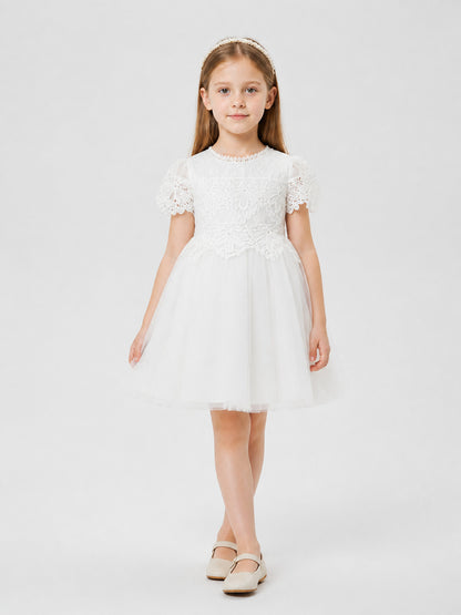 Dressy Lace and Embroidered Dress with Full Skirt Costume Dresses detail