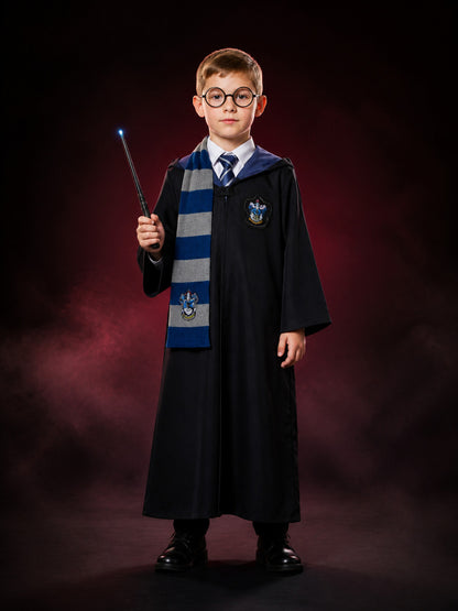 Ravenclaw Wizard Robe Costume Set, Hooded Long Robe with Tie, Scarf, Glasses and main product view