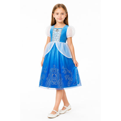 Carnival Dress with Carriage and Flower Embroidery Costume Dresses detail