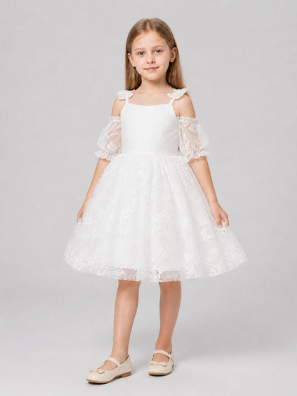 Girls' Dressy Embroidered Dress with a Full Skirt Costume Dresses detail