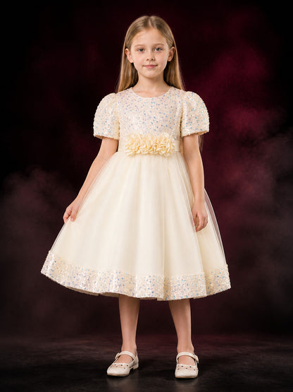 Baby Girls' Princess Party Dress with Sequin Bodice and Tulle Skirt main product view