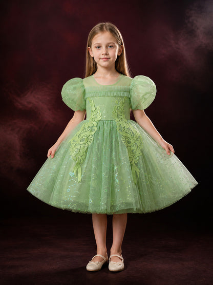 Girls' Mint Green Princess Dress with Puff Sleeves, Sequined Floral Embroidery main product view