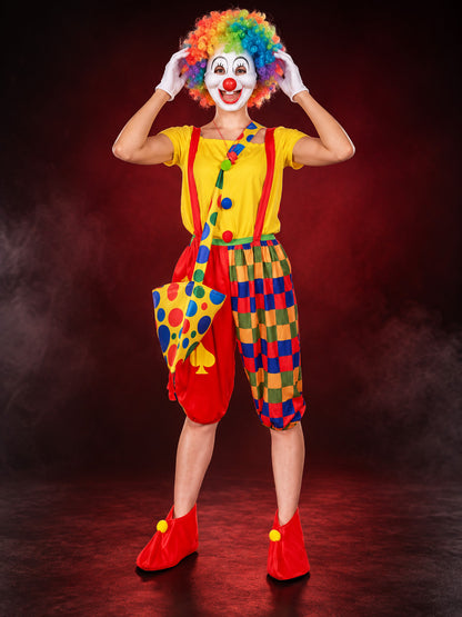 Adult Clown Costume, Yellow T-Shirt, Wig, Mask