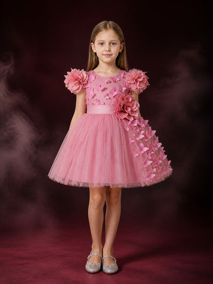 Toddler Girls' Pink Princess Dress, Sleeveless Tulle Party Dress With 3D Flowers main product view