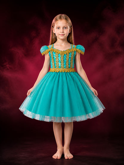 Girls' Princess Costume Dress With Sequined Bodice, Gold Trim And Tulle Skirt main product view