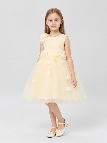 Full Skirt Dress with Floral Decoration for Performances