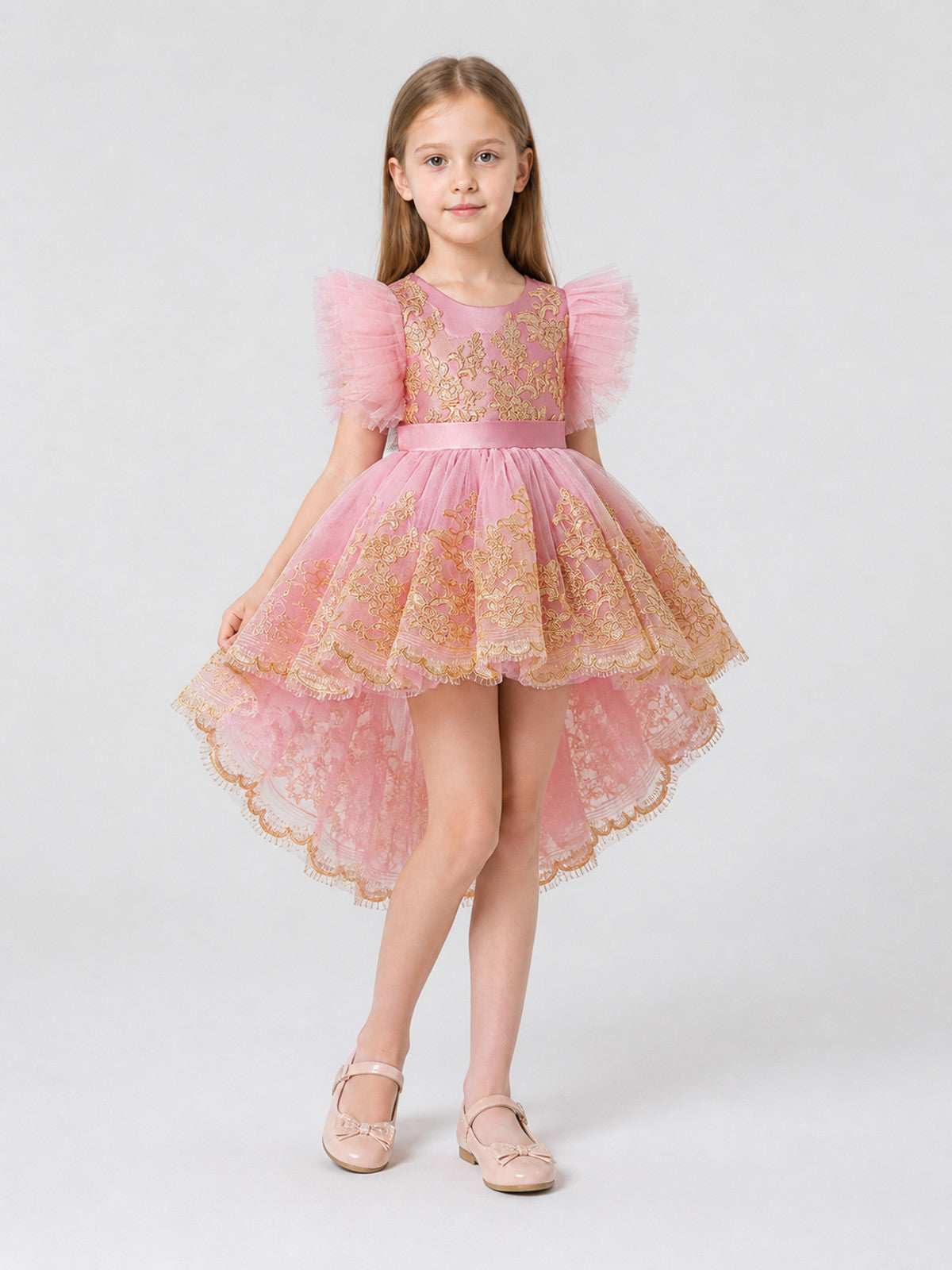 Elegant Full-Skirt Dress with Embroidery and Train for Performances Costume Dresses detail
