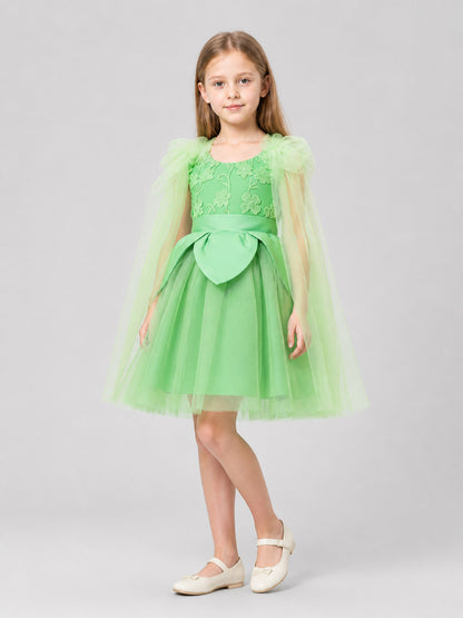 Mint Green Embroidered Princess Dress for Girls Costume Dresses detail