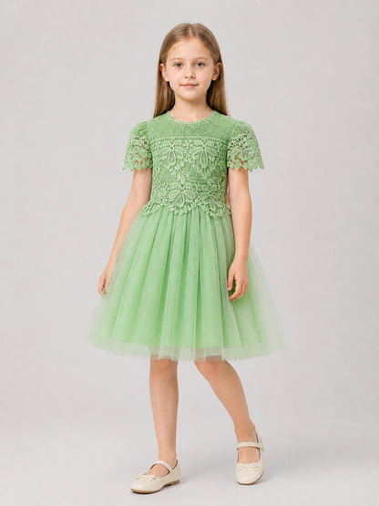 Dressy Girls' Dress with Lace and Full Tulle Skirt Costume Dresses detail