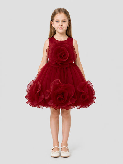 Burgundy Puffed Dress with a Layered Skirt and 3D Flowers on-model view