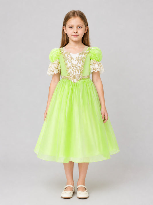 Embroidered Full Dress MSL91 for Performances on-model view
