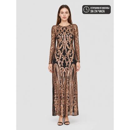 Long Sequin Dress with Sheer Sleeves
