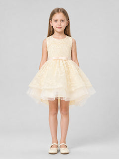 Full Dressy Girls’ Dress with a Tulle Skirt and Bow