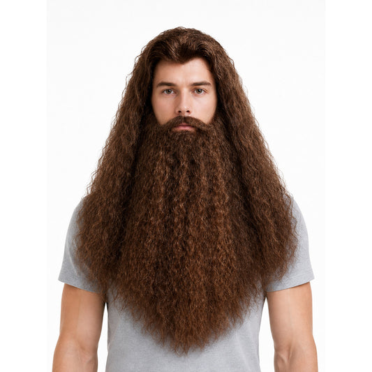 Wizard Costume Wig and Beard