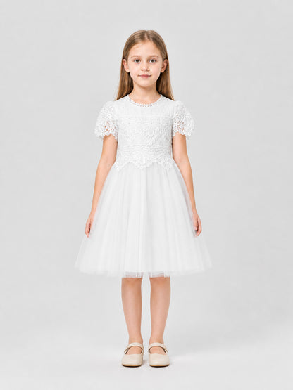 Dressy Lace and Embroidered Dress with Full Skirt on-model view