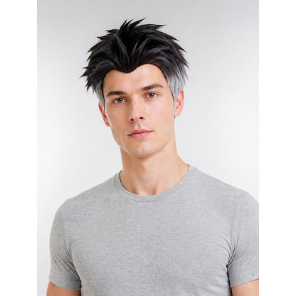Gray-and-Black Carnival Wig for Halloween and Cosplay main product view