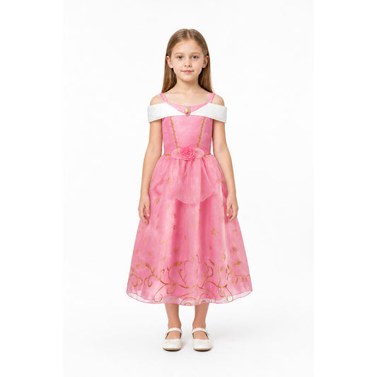 Pink Princess Dress with Gold Stars main product view