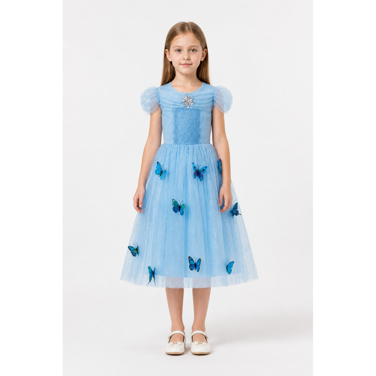 Blue Princess Dress with Butterflies and Full Skirt main product view