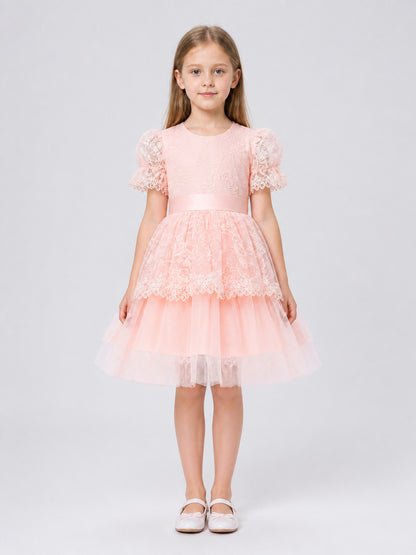 Pink Princess Dress for Girls with Embroidery and Lace on-model view